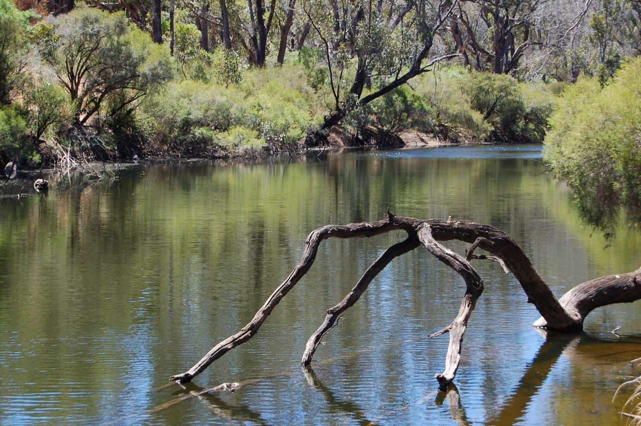 Beyonderup Falls Adult Retreat Nannup Quarto foto
